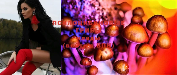 сатива Баксан
