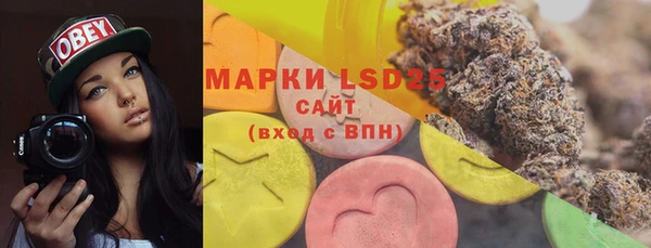 PSILOCYBIN Балабаново