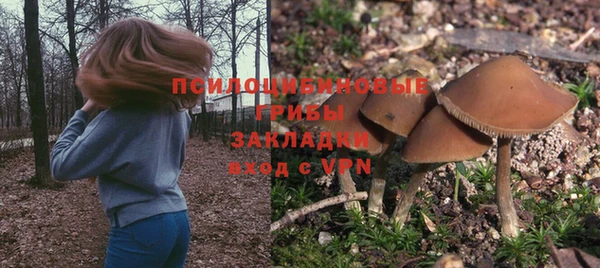 амф Балахна