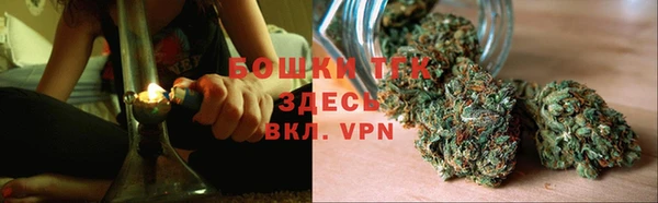 PSILOCYBIN Балабаново