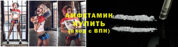 сатива Баксан