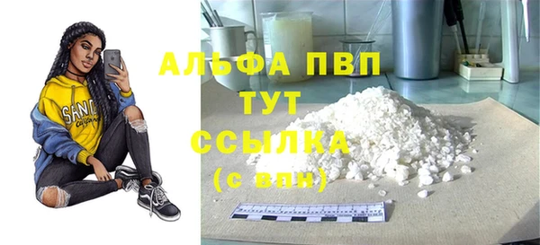 сатива Баксан