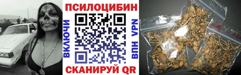 Псилоцибиновые грибы ЛСД кракен ссылки Вуктыл где купить наркотик